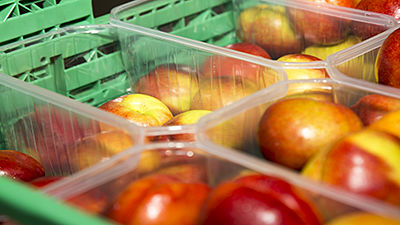 Barquettes fruits et légumes