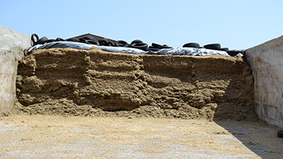 Film ensilage étanche