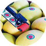 DISPENSADORES SEMIAUTOMÁTICO DE ETIQUETAS